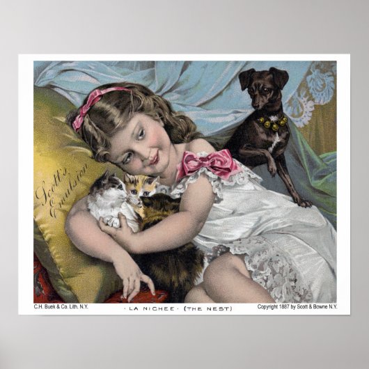 ラ・ニヒ（ザ・ネスト） ポスター (正面)