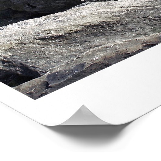 ラ・ファミリア ポスター (角)