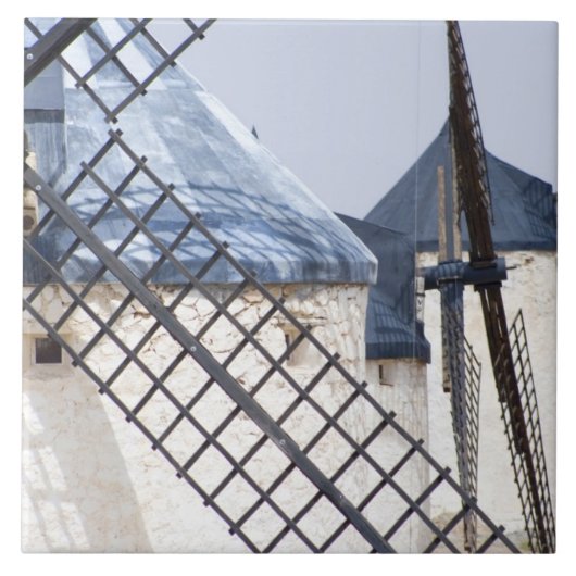 ラ·マンチャ、スペイン。ドン·キホーテは有名に〜に傾いた タイル (正面)