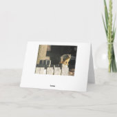 リおもしろいスユーモア友好カード カード (裏面)