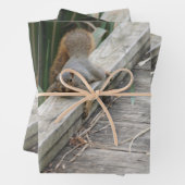 リおもしろいス ラッピングペーパーシート (インサイチュ)