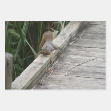 リおもしろいス