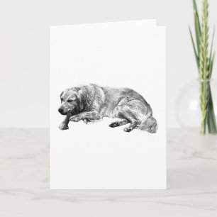 リアリスティックで落ち着いた犬のカード カード