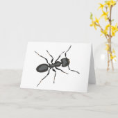 リアリスティックアリ カード (黄色い花)