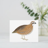 リアリスティックウズラ ポストカード (スタンド正面)