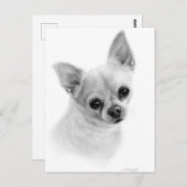 リアリスティックチワワポートレート – 油彩画 ポストカード (正面/裏面)