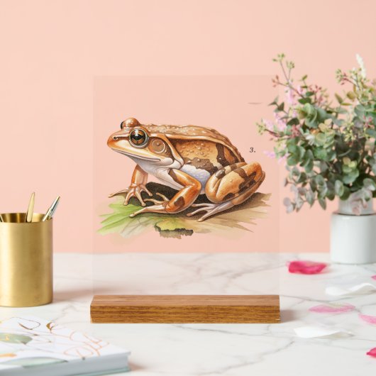 リアリスティックFrog Desk Sign インスパイア自然Decor アクリルサイン (ウェディング)