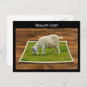 リアリティ失ったヤギ放牧オン紙草はがき ポストカード (正面/裏面)