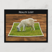 リアリティ失ったヤギ放牧オン紙草はがき ポストカード (正面)