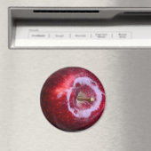 リアルで美味しい赤リンゴ冷蔵庫磁石 マグネット (インサイチュ (食洗機))