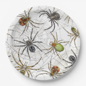 リアルなクモのくもの巣パターン ペーパープレート (正面)