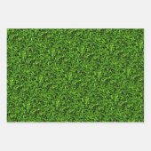 リアルなグラスフォトテクスチャーおもしろいブライトグリーン ラッピングペーパーシート (正面3)