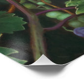 リアルなブドウつる植物離れとファインアート ポスター (コーナー)