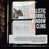 リアルなリスの窓の貼り ウィンドウサイン