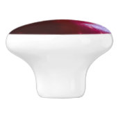 リアルなリンゴ セラミックノブ (側面)