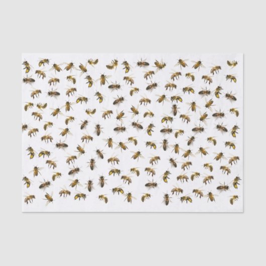 リアルな実物大のミツバチの切り離しまたはラップ 薄葉紙 (正面)