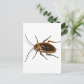 リアルな茶色のゴキブリ昆虫 ポストカード (スタンド正面)