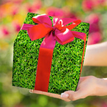 リアルな草写真テクスチャおもしろい明るい緑