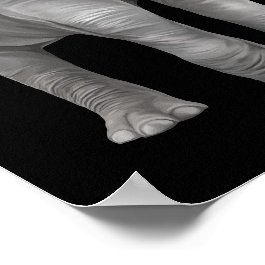 リアルな象の背景 ポスター (角)