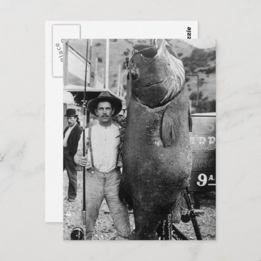 リアルビッグフィッシュ 1900年代初頭 ポストカード (正面/裏面)