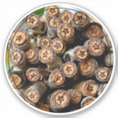 リオグランデに沿ったコットンウッドツリーズの星 シール (正面)