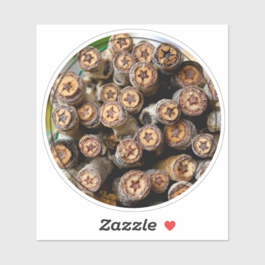 リオグランデに沿ったコットンウッドツリーズの星 シール (シート)