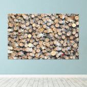 リオグランデコットンウッドツリーズタルキに沿って星 キャンバスプリント (インサイチュ (ウッドフロア))