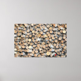 リオグランデコットンウッドツリーズタルキに沿って星 キャンバスプリント