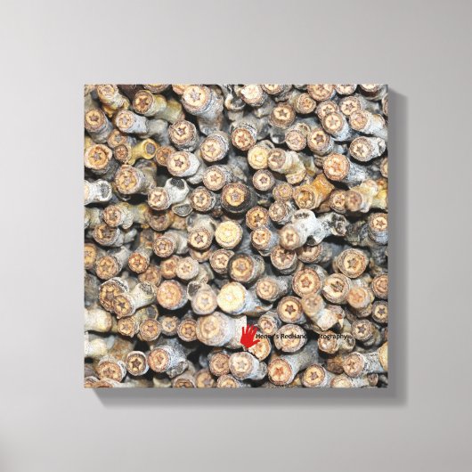 リオグランデコットンウッドツリーズタルキに沿って星 キャンバスプリント (正面)