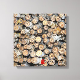 リオグランデコットンウッドツリーズタルキに沿って星 キャンバスプリント