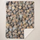 リオグランデコットンウッドツリーズタルキに沿って星 シェルパブランケット (正面)