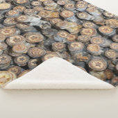 リオグランデコットンウッドツリーズタルキに沿って星 シェルパブランケット (3/4)