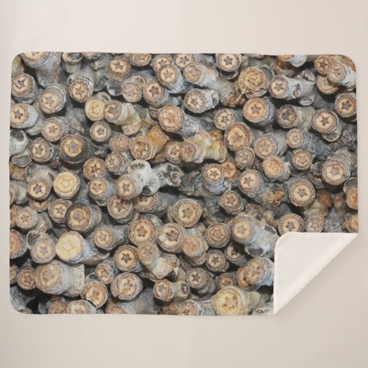 リオグランデコットンウッドツリーズタルキに沿って星 シェルパブランケット (正面(横))