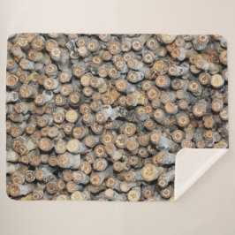 リオグランデコットンウッドツリーズタルキに沿って星 シェルパブランケット