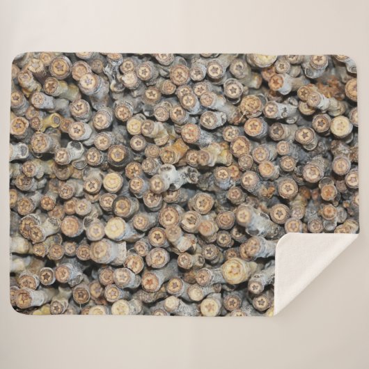 リオグランデコットンウッドツリーズタルキに沿って星 シェルパブランケット (正面(横))