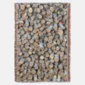 リオグランデコットンウッドツリーズタルキに沿って星 スローブランケット (正面縦)