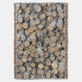 リオグランデコットンウッドツリーズタルキに沿って星 スローブランケット (正面縦)