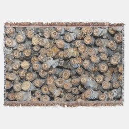 リオグランデコットンウッドツリーズタルキに沿って星 スローブランケット