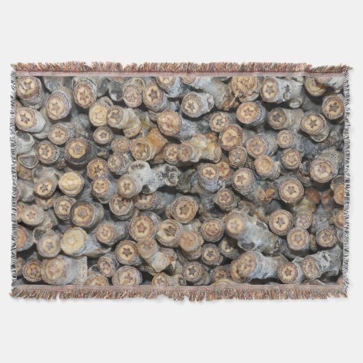 リオグランデコットンウッドツリーズタルキに沿って星 スローブランケット (正面)