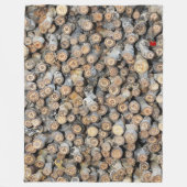 リオグランデコットンウッドツリーズタルキに沿って星 フリースブランケット (正面)