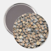 リオグランデコットンウッドツリーズタルキに沿って星 マグネット (正面/裏面)