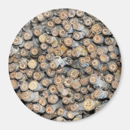 リオグランデコットンウッドツリーズタルキに沿って星 マグネット