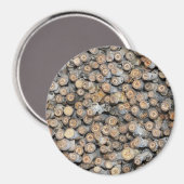 リオグランデコットンウッドツリーズタルキに沿って星 マグネット (正面/裏面)