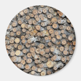 リオグランデコットンウッドツリーズタルキに沿って星 マグネット