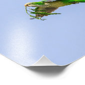 リオグランデバレーの10x8モンクパレーケ フォトプリント (角)