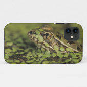 リオグランデヒョウモンガエル、Rana berlandieri、 Case-Mate iPhoneケース (裏面(横))