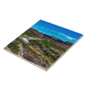 リオグランデ川、テキサス州 タイル (側面)