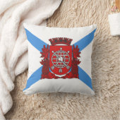 リオデジャネイロ国旗(ブラジル) クッション (ブランケット)