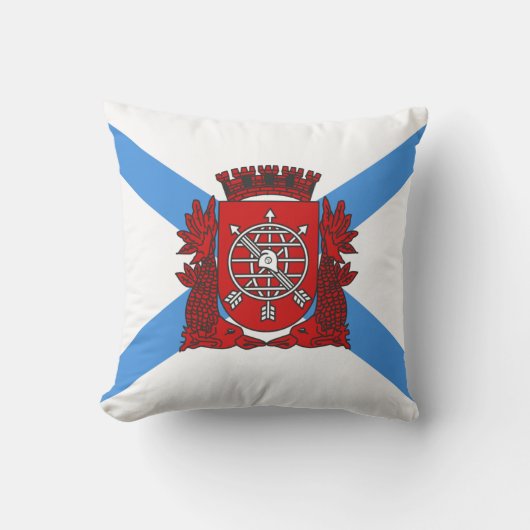 リオデジャネイロ国旗(ブラジル) クッション (正面)