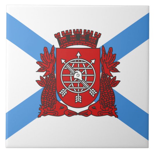 リオデジャネイロ国旗（ブラジル） タイル (正面)